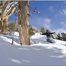 Foto: oleg krivtsov. &Aring;kare: oleg stepin.