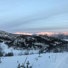 Stengt Torsdag grunnet vind
Vi holder stengt i dag.