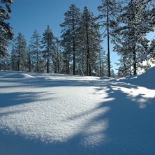 tv&aring; meter sn&ouml;&ouml;.