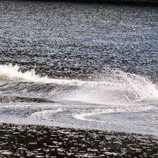 Foto: Jennie Olofsson. &Aring;kare: Mattias Gustavsson.