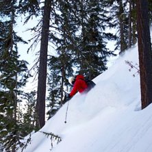 Live a little!. Foto: Viktor Forslund. &Aring;kare: Martin Persson.