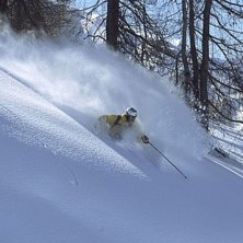 Foto: Martin S&ouml;derqvist. &Aring;kare: Daniel Johansson.
