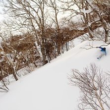 Foto: Johan Karlsson. &Aring;kare: Tomas Halvarsson.