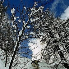 Foto: Annika Spongberg. &Aring;kare: Eric Spongberg.