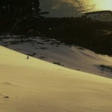 Foto: Johanna Carlsson. &Aring;kare: Erik Assum.