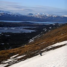 Extremt fin kv&auml;lls&aring;kning p&aring; L&aring;ktatjokkos nords. Foto: Mats M&auml;ki. &Aring;kare: Jonny &Ouml;hrn.