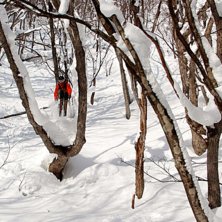 Foto: Adam Hanberger. &Aring;kare: Erik Arvidsson.