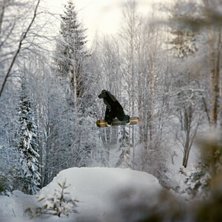 I skogarna runt storschtaan.. Foto: Peter Tannebo. &Aring;kare: Davva SA.