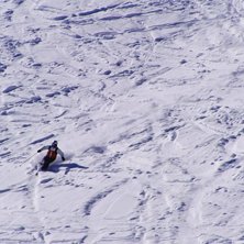 Foto: John Bjurholm. &Aring;kare: Daniel Lorentzon.