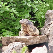 Foto: me myself and I.