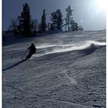 Foto: Erika Bergqvist. &Aring;kare: Conny Bergqvist.