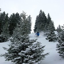 Sista &aring;kdagen kom en dump o hela berget var v&aring;rt. Foto: Kristofer Hallgren. &Aring;kare: Johan J&ouml;nsson.
