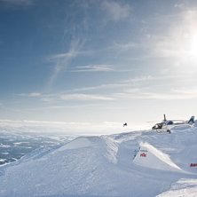 JOSS i solravin

Hade inget tele och beh&ouml;righet. Foto: Marcus Olsson. &Aring;kare: Jon Olsson.