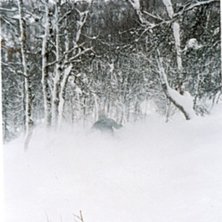 Foto: Linnea Axberg. &Aring;kare: Cleas Niter.