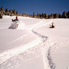 Tidigt &aring;ttiotal och 210 cm. Foto: Bj&ouml;rn Holmgren. &Aring;kare: Janne Holmgren.