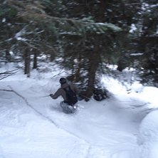 Fr&aring;n en skogsrunda under sportlovet uppe i &Aring;re... Foto: Rickad Andersson. &Aring;kare: Thomas Andersson.