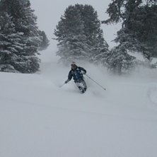 Soft sn&ouml;stormsdag i skogen.... Foto: M&aring;rten Forste. &Aring;kare: Erik Svanberg.