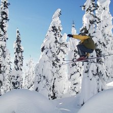 luftf&auml;rd &ouml;ver tr&auml;d med ett &ouml;versn&ouml;at tr&auml;d so. Foto: Mats Axelsson. &Aring;kare: Markus Fredlander.