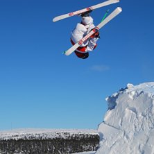 misty. &Aring;kare: jag.