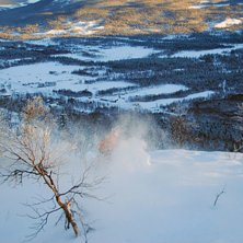 Bakom en rid&aring; av Sk&ouml;&ouml;&ouml;nt puder skymtas Micke. Foto: Stefan Lindgren. &Aring;kare: Micke H&ouml;gberg.