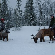 &Aring;kare: ja o bror s&auml;tter p&aring; renar i &aring;re:P.