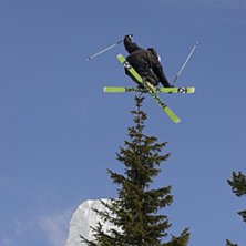 360 kysser tr&auml;det. Foto: Adam martell. &Aring;kare: Lars ilis.