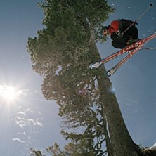 Foto: Daniel Wenblad. &Aring;kare: Martin H&aring;llander.
