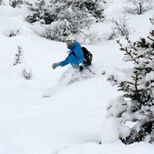 Susanne surfar sk&ouml;nt i pudern bland granarna. Foto: Johan Larson. &Aring;kare: Susanne Nielsen.