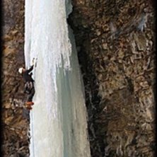 En sn&ouml;fattig vinter &auml;r inte s&aring; d&aring;ligt f&ouml;r 
a. Foto: Christian T&uuml;rk. &Aring;kare: Giorgo.