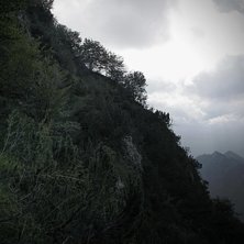 Svindlande... 3 dm bred stig och p&aring; h&ouml;ger sida t. Foto: Eric Tengstrand. &Aring;kare: Peter Dahlberg.