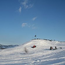 tresexnoll. Foto: denice. &Aring;kare: rasse p.