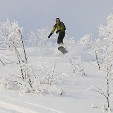 Ner i konsumravinen. Foto: Lars Andreasson. &Aring;kare: Erik Pernestam.
