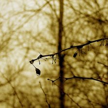 Foto: Oskar Karnblad.