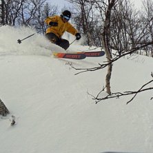 Janne tr&auml;ngs bland fj&auml;llbj&ouml;rkarna i BE:S l&ouml;pa. Foto: Stefan Vikberg. &Aring;kare: Jan Vikberg.