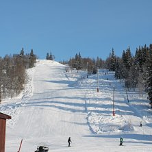 MORSDAG
I dag f&aring;r alle m&oslash;dre gratis heiskort i a.