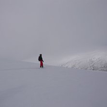 I v&auml;ntan p&aring; godo. Foto: Anders Carlsson. &Aring;kare: Micke Gr&ouml;nlund.