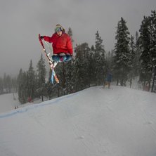 3a m&auml; followbear!

ifall man vill se mer bilder. Foto: B&ouml;rn Rosengren. &Aring;kare: Maximilliam Smith.