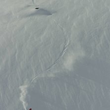 sk&ouml;nt slippa pucklar!. Foto: Lars-&Aring;ke Krantz. &Aring;kare: Pastorn.