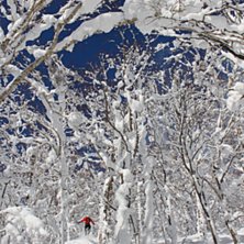 Foto: Ingvild Birgitte Ellingsrud. &Aring;kare: Sigmund Vedvik.