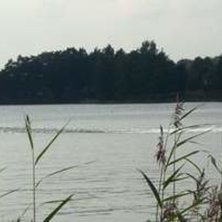 Foto: anita r&aring;sten. &Aring;kare: mathias burestam.