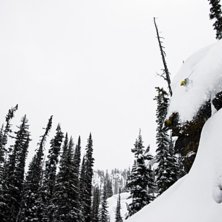 Foto: Per Nyberg. &Aring;kare: Robert Jarlen&auml;s.