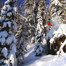 En sk&ouml;n dag i k&aring;bdalis med mycket av de vita gul. Foto: oskar lind. &Aring;kare: Elias Henderson.