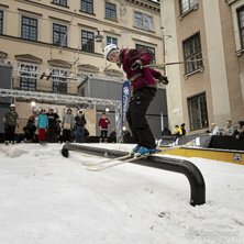 Winter Show i Kungstr&auml;dg&aring;rden 2014.. Foto: Hedda Berander.