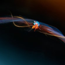 Lekte lite med l&aring;ga slutartider och manuell trigg. Foto: Oskar Bakke. &Aring;kare: Jon Olsson.