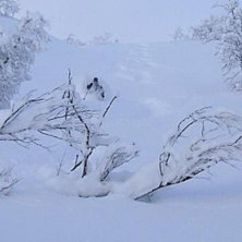 &amp;quot;Den d&auml;r helgen&amp;quot;, fredan.. Foto: Daniel Lindblom. &Aring;kare: Jacob Simu.