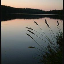 Troligen den b&auml;sta naturbild jag n&aring;gonsin tagit.. Foto: Eric Westling.