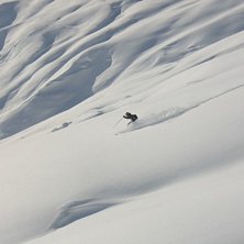 Foto: Tjakkie. &Aring;kare: Johan Hilmersson.