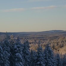 Foto: Emil Nordberg.