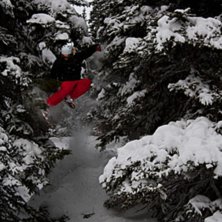 Japan Air bland granarna p&aring; Whistler. Foto: John Boer. &Aring;kare: Robin Sandberg.