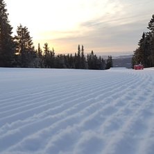 Bra forhold p&aring; Sjusj&oslash;en i dag!
.